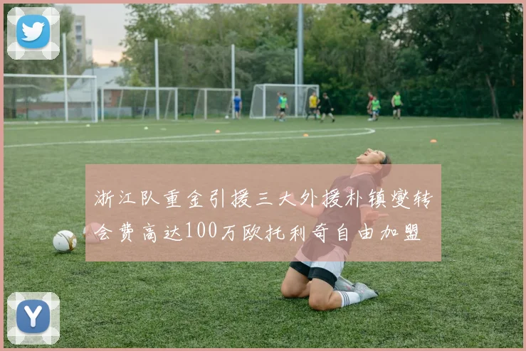 浙江队重金引援三大外援朴镇燮转会费高达100万欧托利奇自由加盟